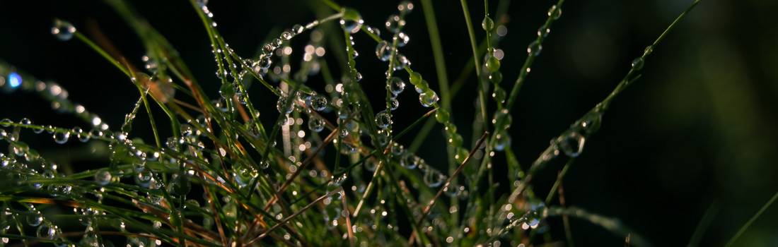 christine_winter-33